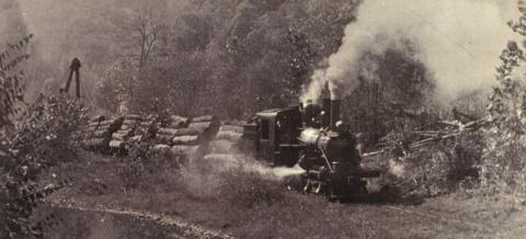 Train pulling out logs.