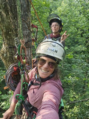 Dr. Sybil Gotsch & Louise Hosburgh Climbing Tree in Little Millseat